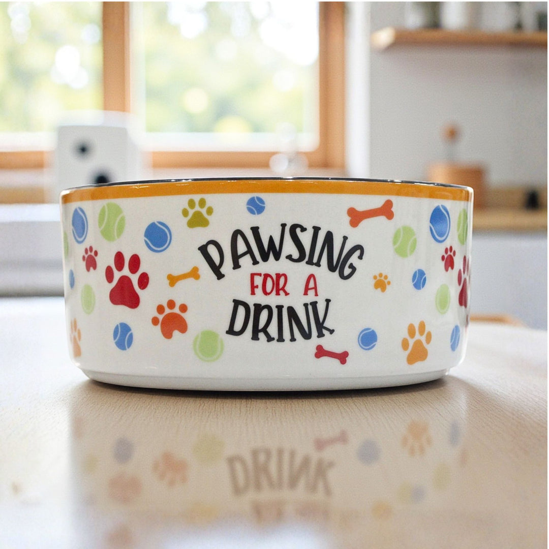 Dog bowl with 'Pawsing for a Drink' text on a kitchen counter