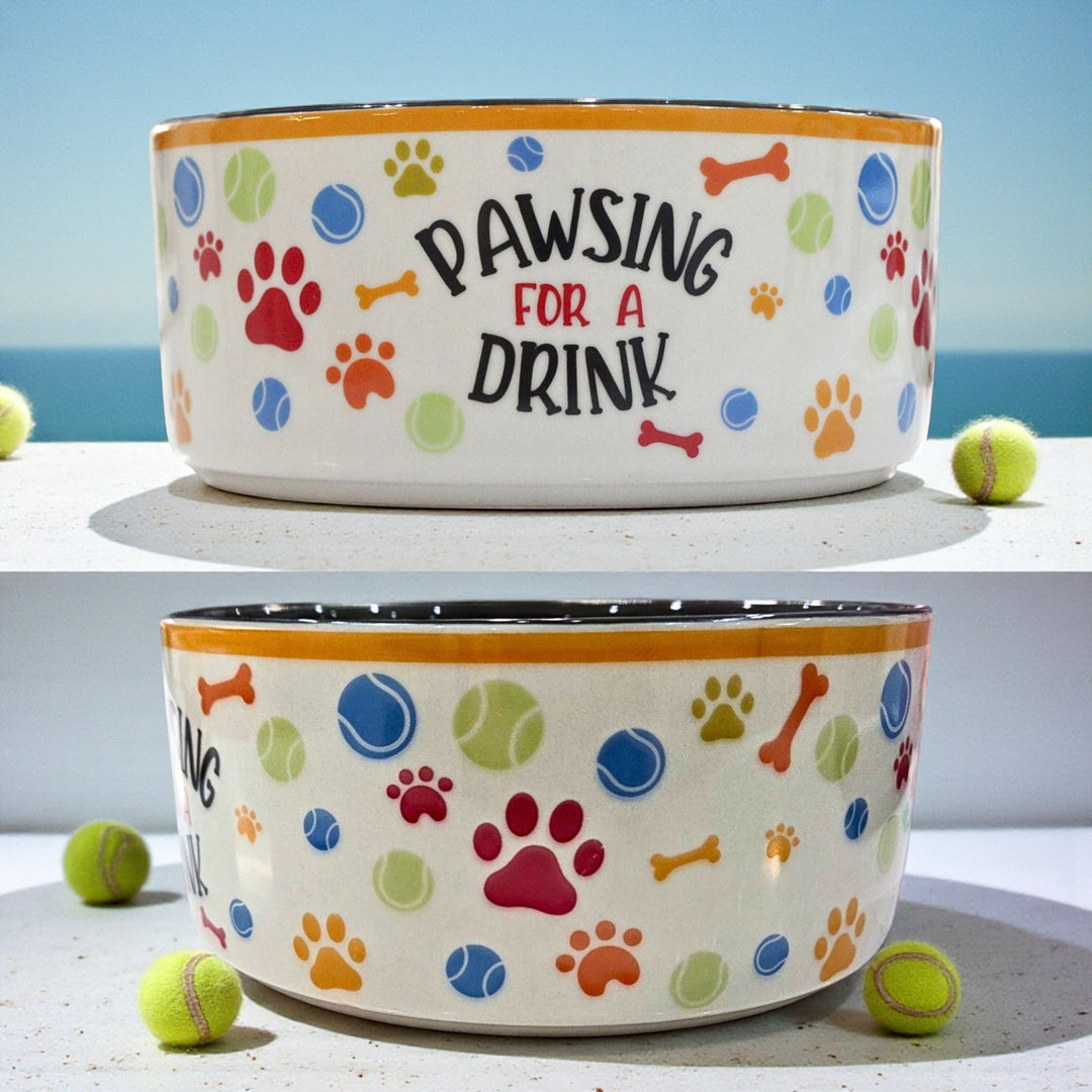Front and side of ceramic dog bowls with colorful paw prints and text saying "pawsing for a drink."